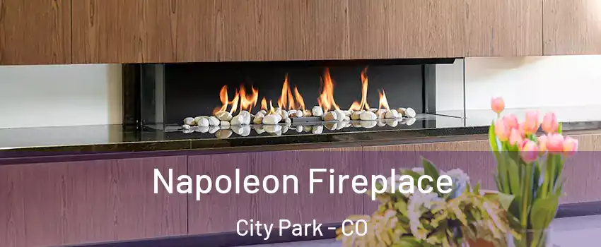Napoleon Fireplace City Park - CO