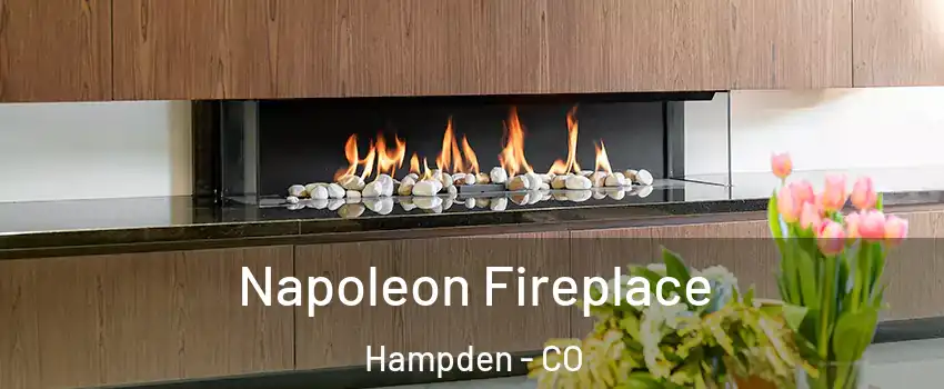 Napoleon Fireplace Hampden - CO