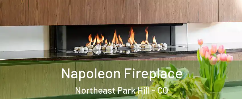Napoleon Fireplace Northeast Park Hill - CO