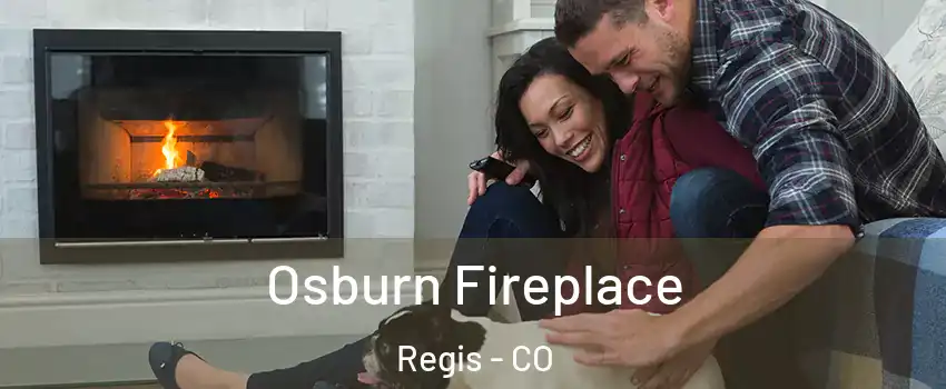 Osburn Fireplace Regis - CO