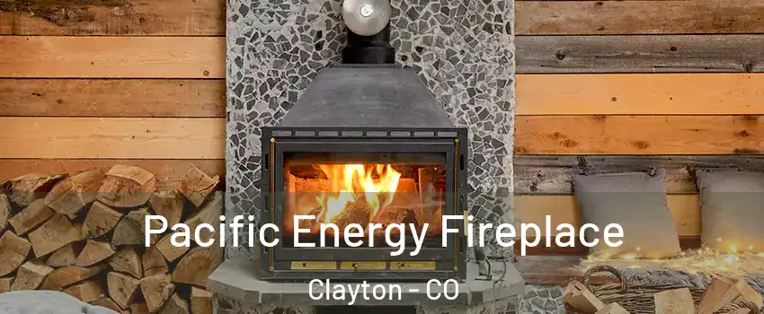 Pacific Energy Fireplace Clayton - CO