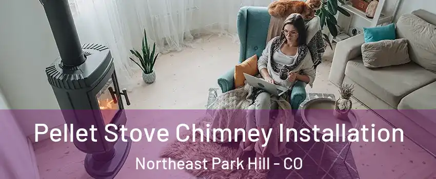 Pellet Stove Chimney Installation Northeast Park Hill - CO