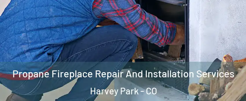 Propane Fireplace Repair And Installation Services Harvey Park - CO