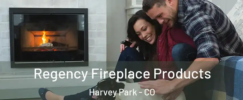 Regency Fireplace Products Harvey Park - CO