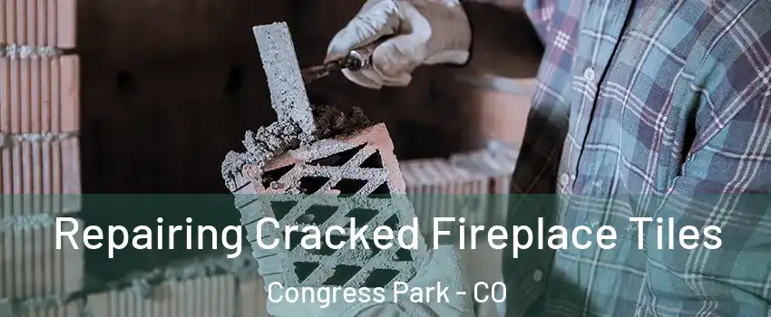 Repairing Cracked Fireplace Tiles Congress Park - CO