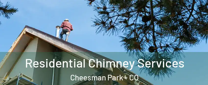 Residential Chimney Services Cheesman Park - CO