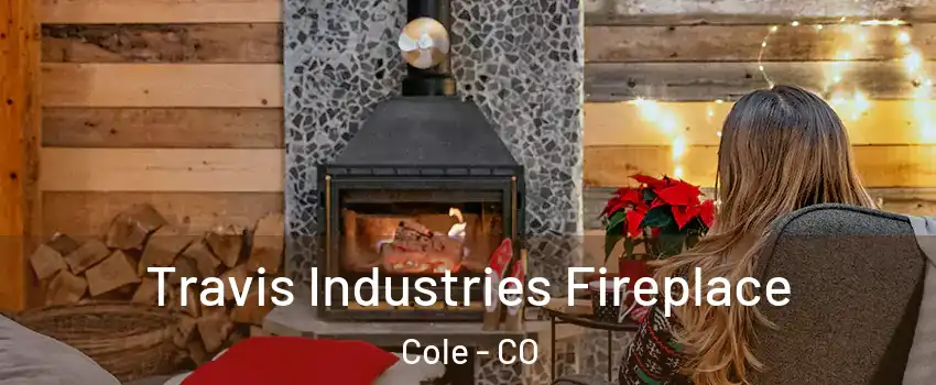 Travis Industries Fireplace Cole - CO