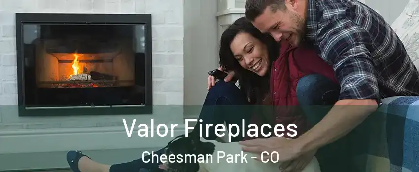 Valor Fireplaces Cheesman Park - CO