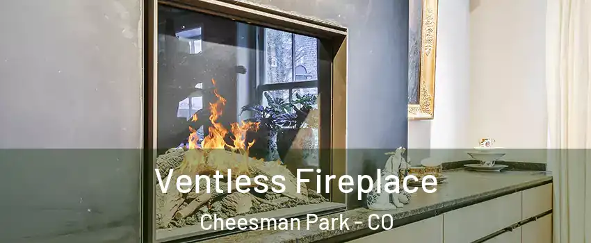 Ventless Fireplace Cheesman Park - CO