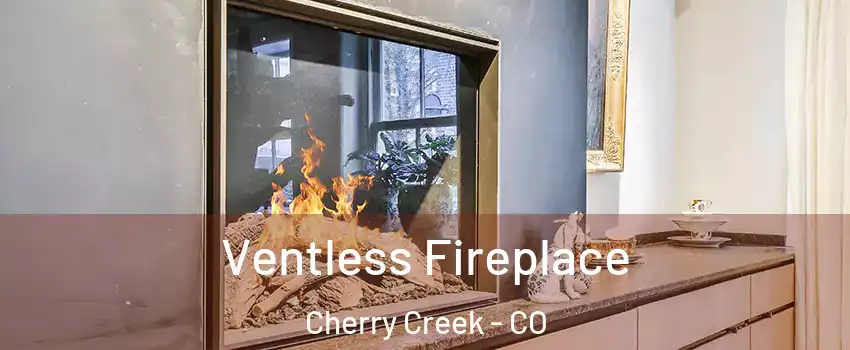 Ventless Fireplace Cherry Creek - CO