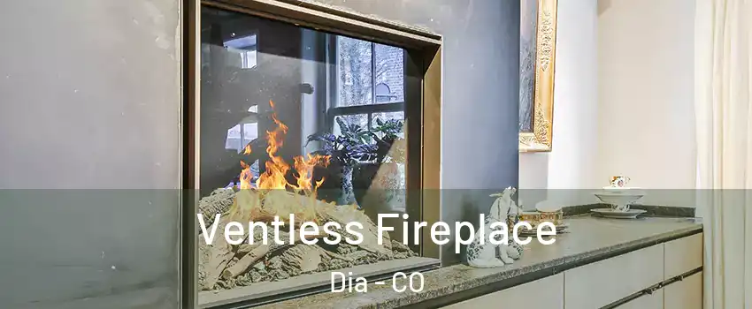 Ventless Fireplace Dia - CO