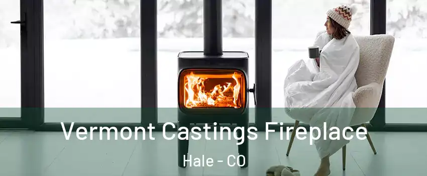 Vermont Castings Fireplace Hale - CO